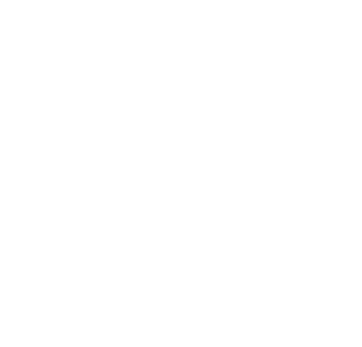The Screen in Transit